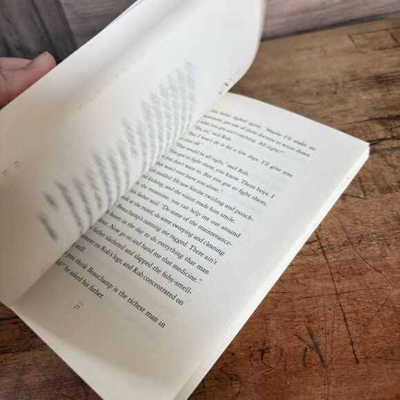 The Tiger Rising by Kate DiCamillo Paperback Book pre-read see pix for wear - Picture 6 of 6